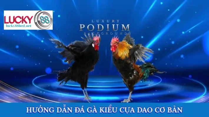 Các bước cơ bản để chơi đá gà cựa dao