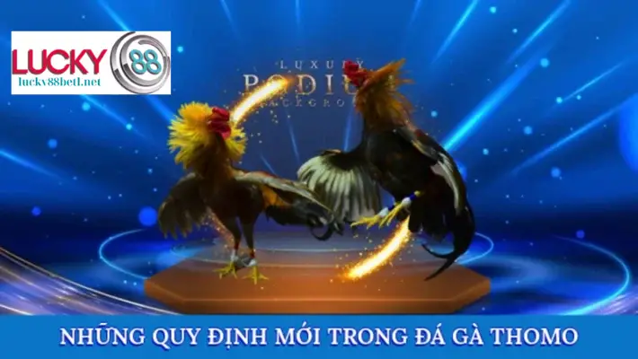 Các quy định mới nhất của đá gà Thomo