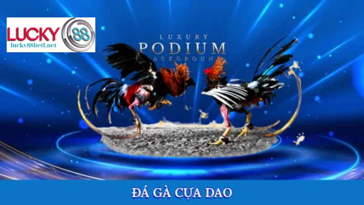 đá gà cựa dao