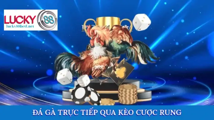 Đá gà trực tiếp qua kèo cược rung