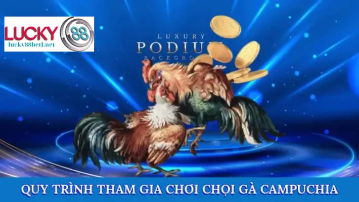 Diễn giải quy trình tham gia vào đá gà Campuchia