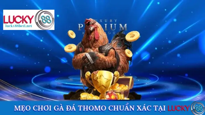 Mẹo chơi đá gà Thomo chính xác tại Lucky88
