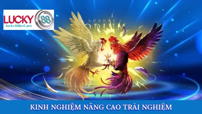 Mẹo để có trải nghiệm đá gà online tốt nhất