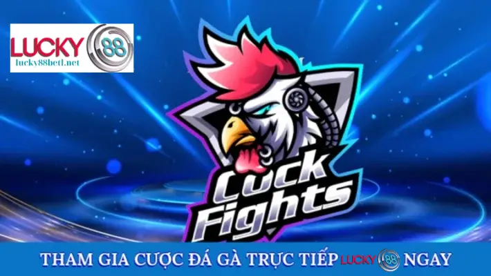 Tham gia cược đá gà trực tiếp Lucky88 ngay