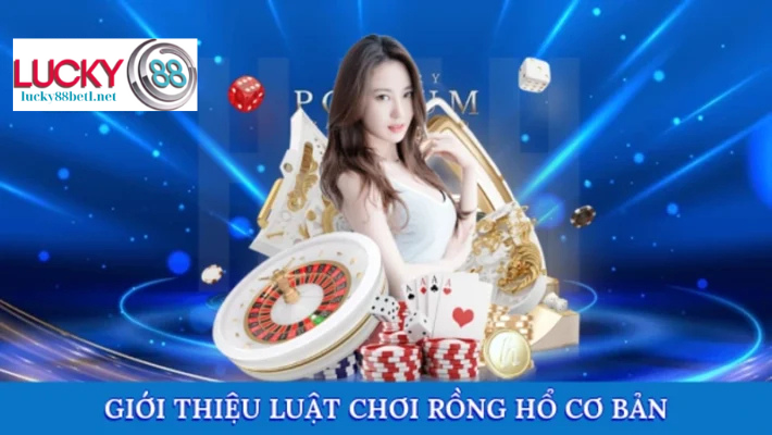 Giải thích luật chơi rồng hổ cơ bản